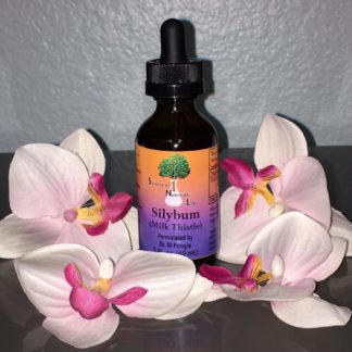 Silybum